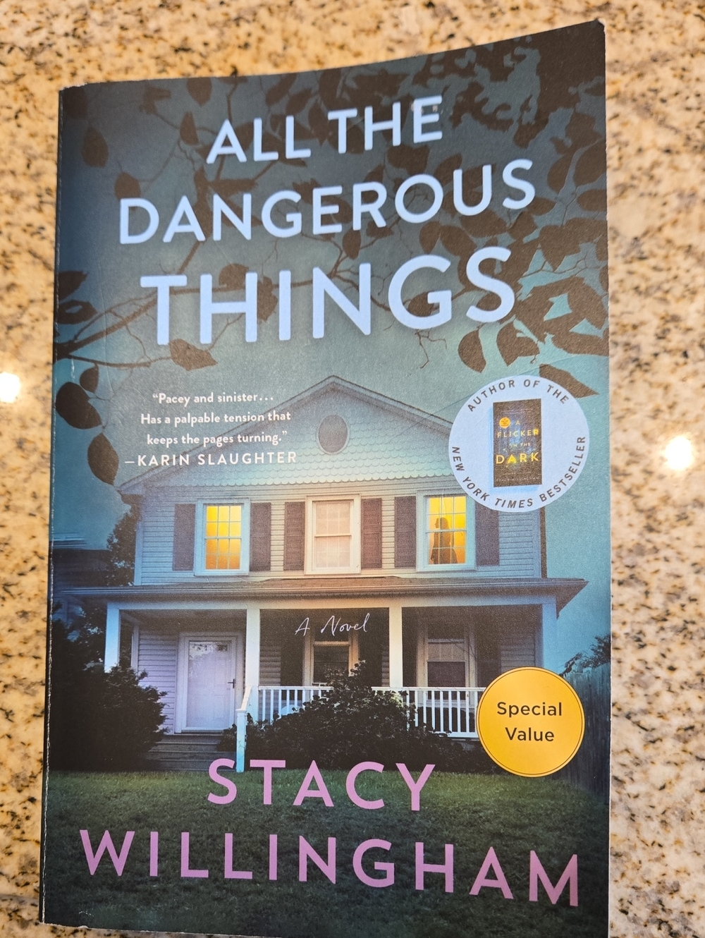 All The Dangerous Things Paperback -Stacy Willingham